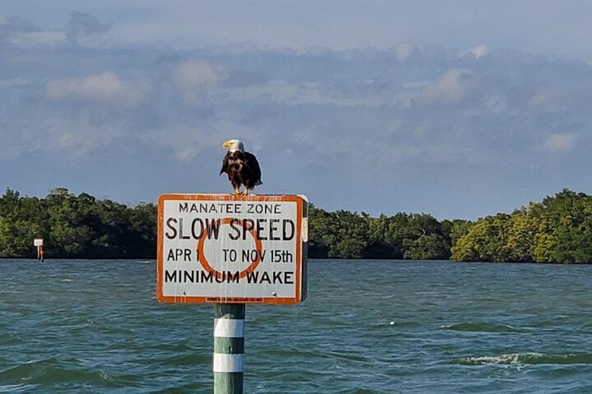 a bird sitting on top of a sign in the water