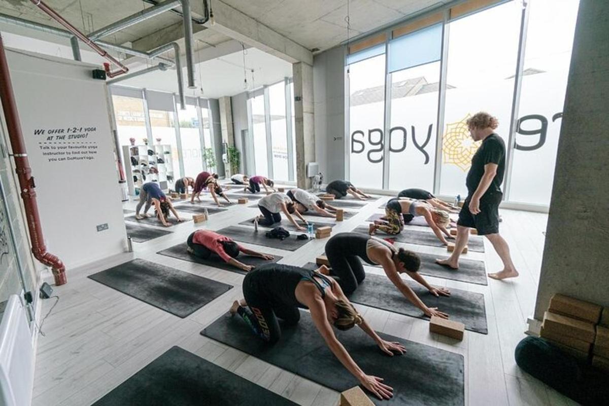 un groupe de personnes faisant du yoga dans une pièce