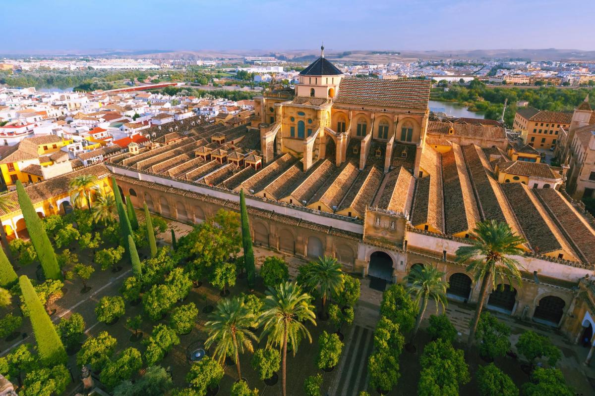an aerial view of a building with palm trees