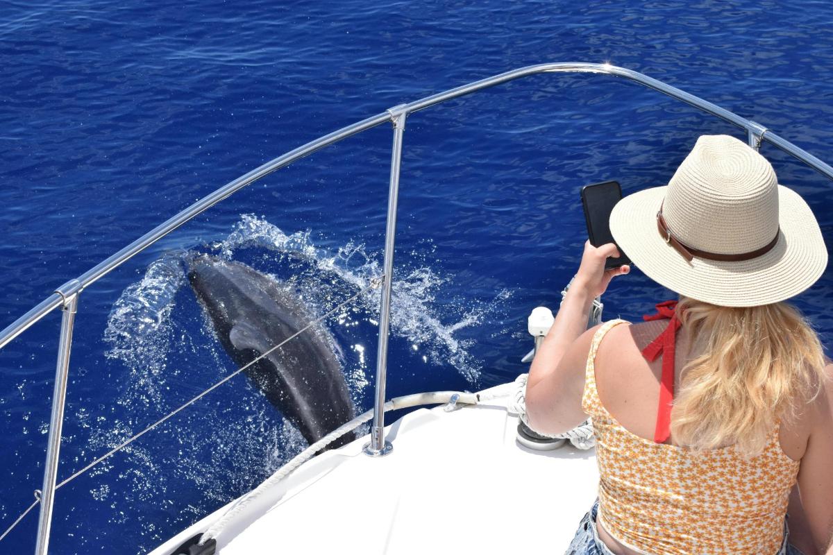 Una mujer tomando una fotografía de un delfín en un barco.