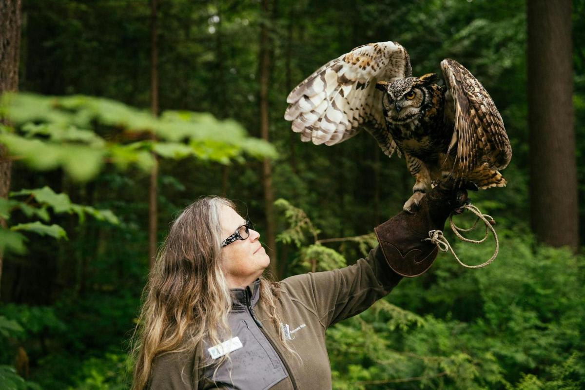 a woman holding an owl on her hand