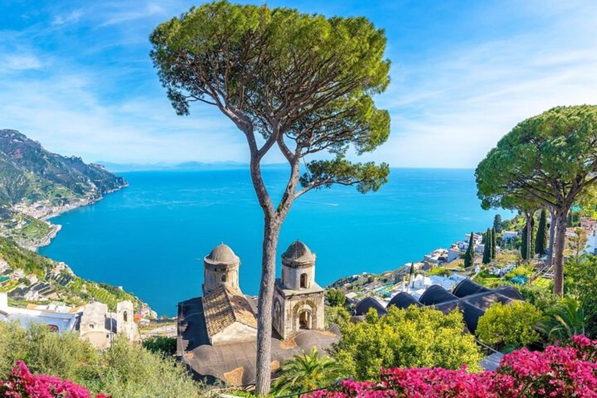 một cái nhìn về bờ biển amalfi với một cái cây
