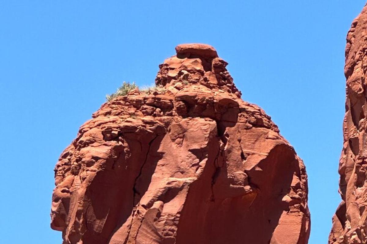 una formazione rocciosa con un albero in cima