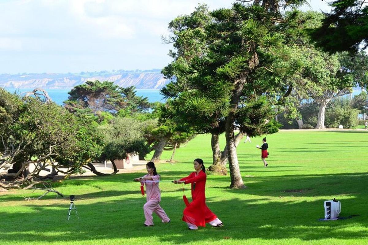 dues noies joves jugant amb un estel en un parc
