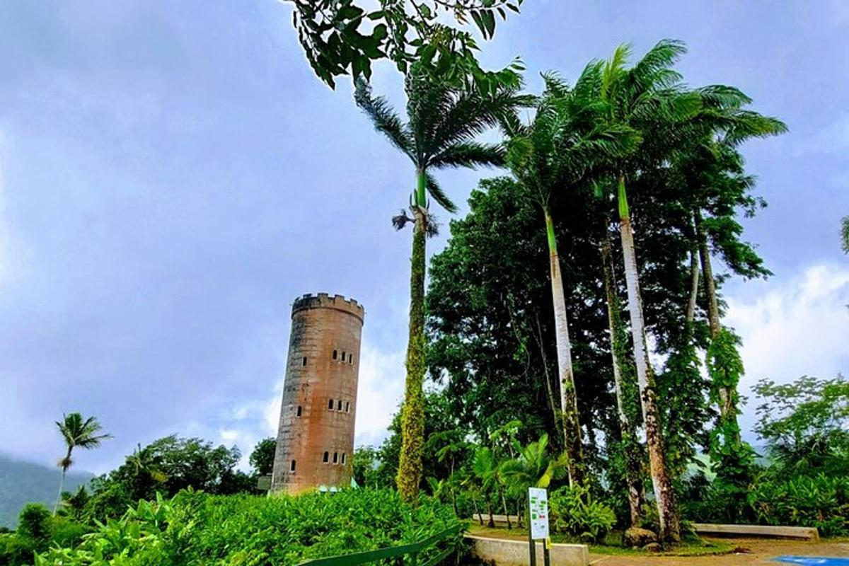 a brick tower next to palm trees and the ocean