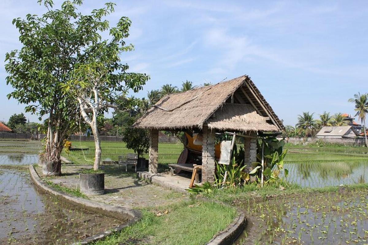 sebuah gubuk kecil dengan atap rumput di ladang