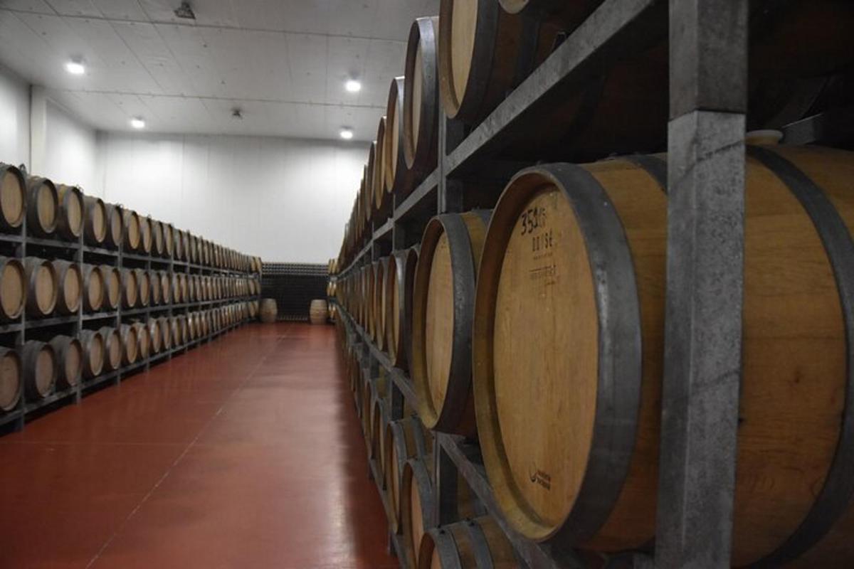 a row of wine barrels in a cellar