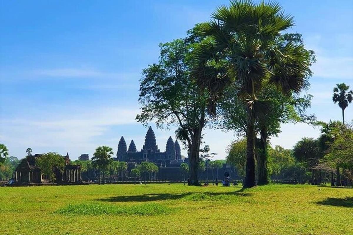Una palmera en un campo con un edificio al fondo.