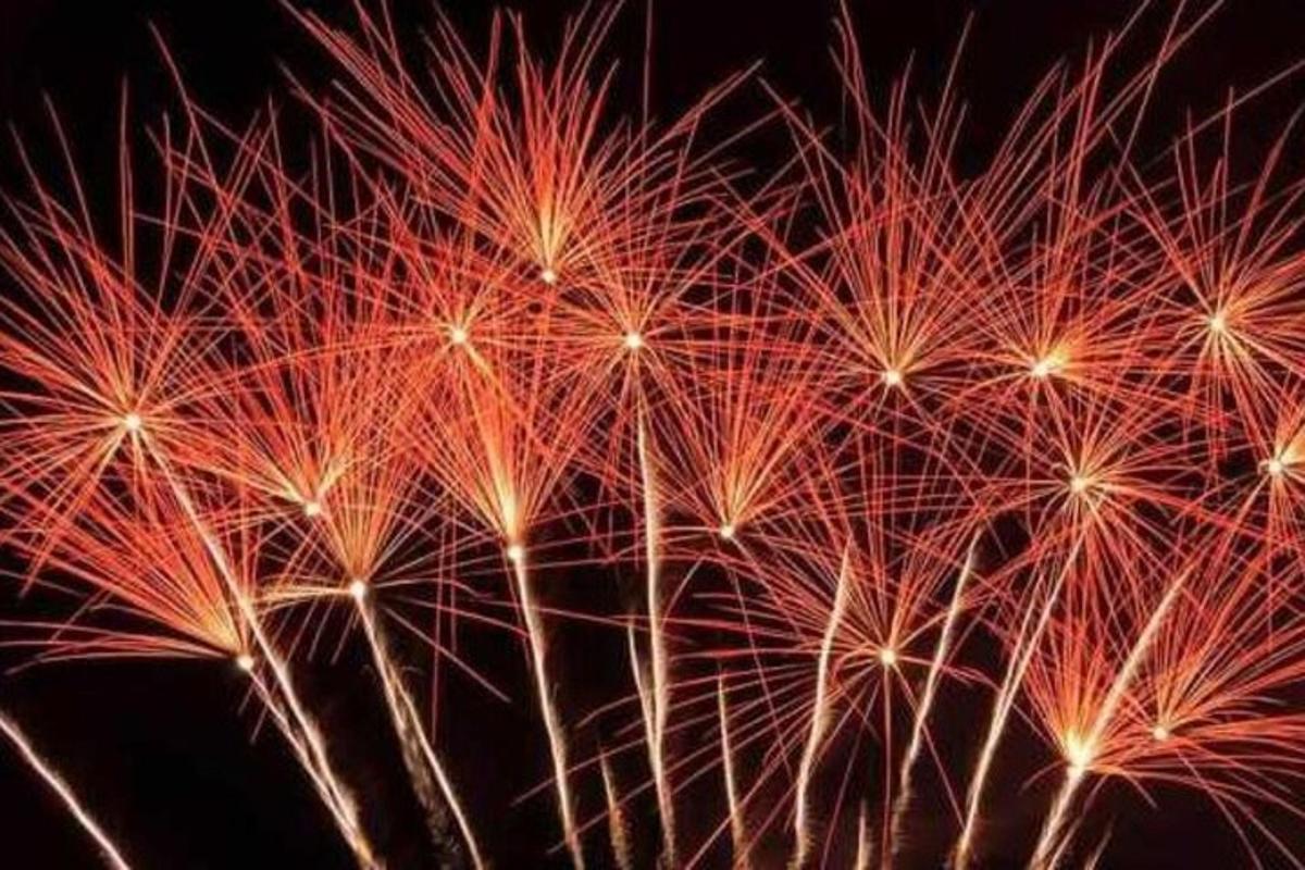 a bunch of fireworks exploding in the night sky