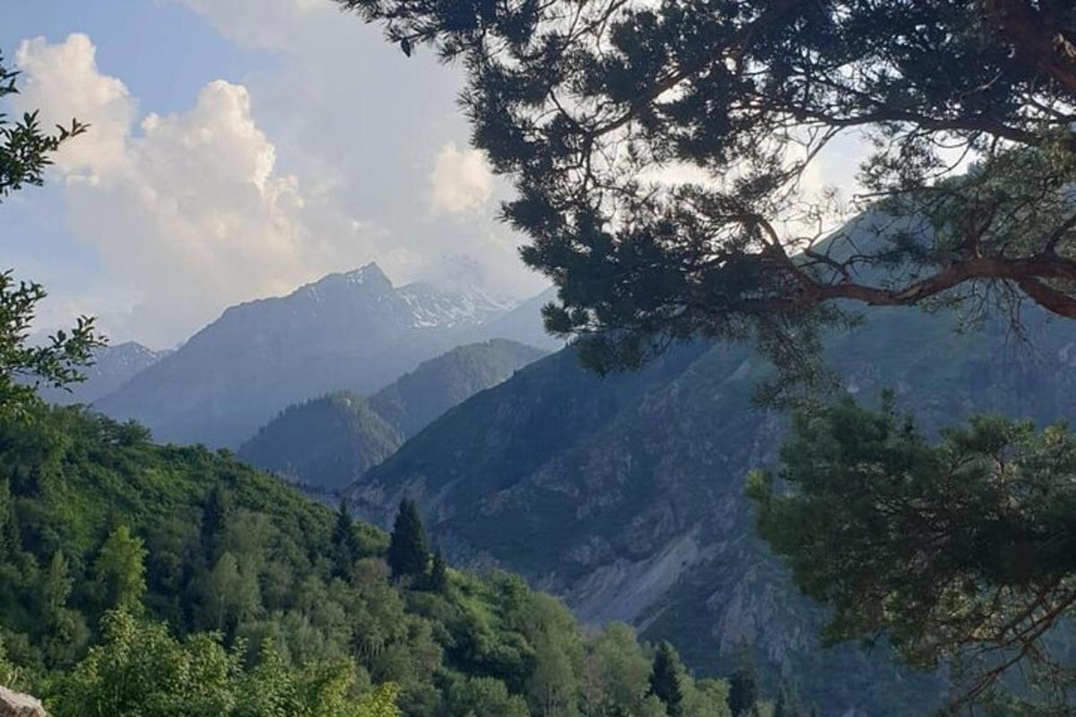 widok na dolinę z górami w tle