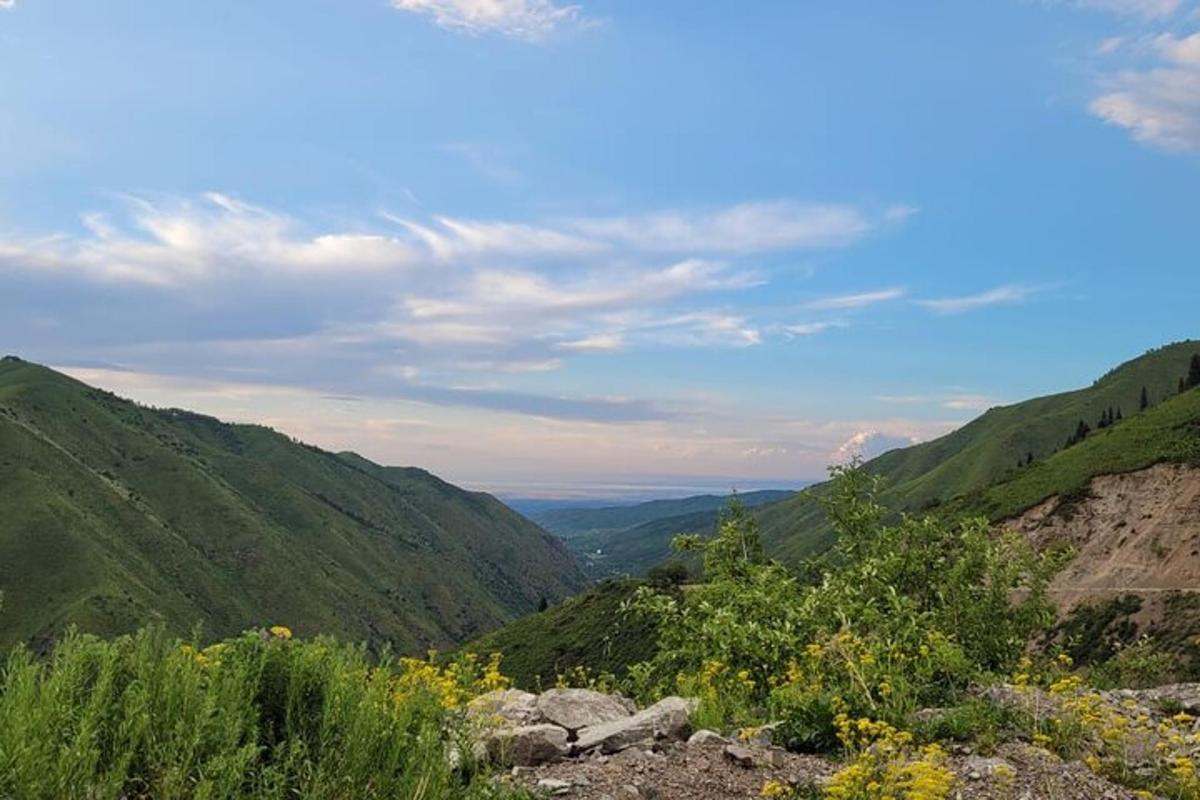 una vista d'una vall des del cim d'una muntanya