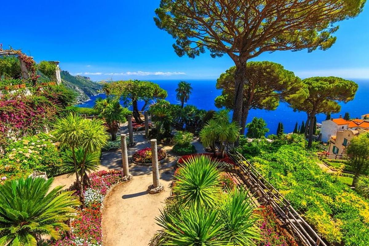 a garden with a view of the ocean
