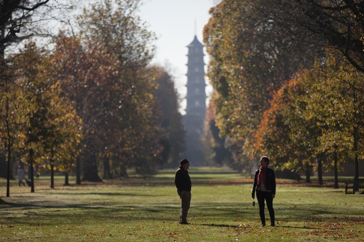 two people standing in a park in the grass