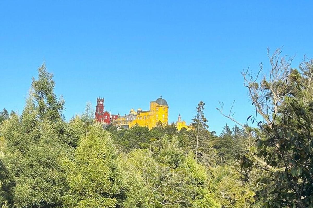 un bâtiment au sommet d'une colline avec des arbres