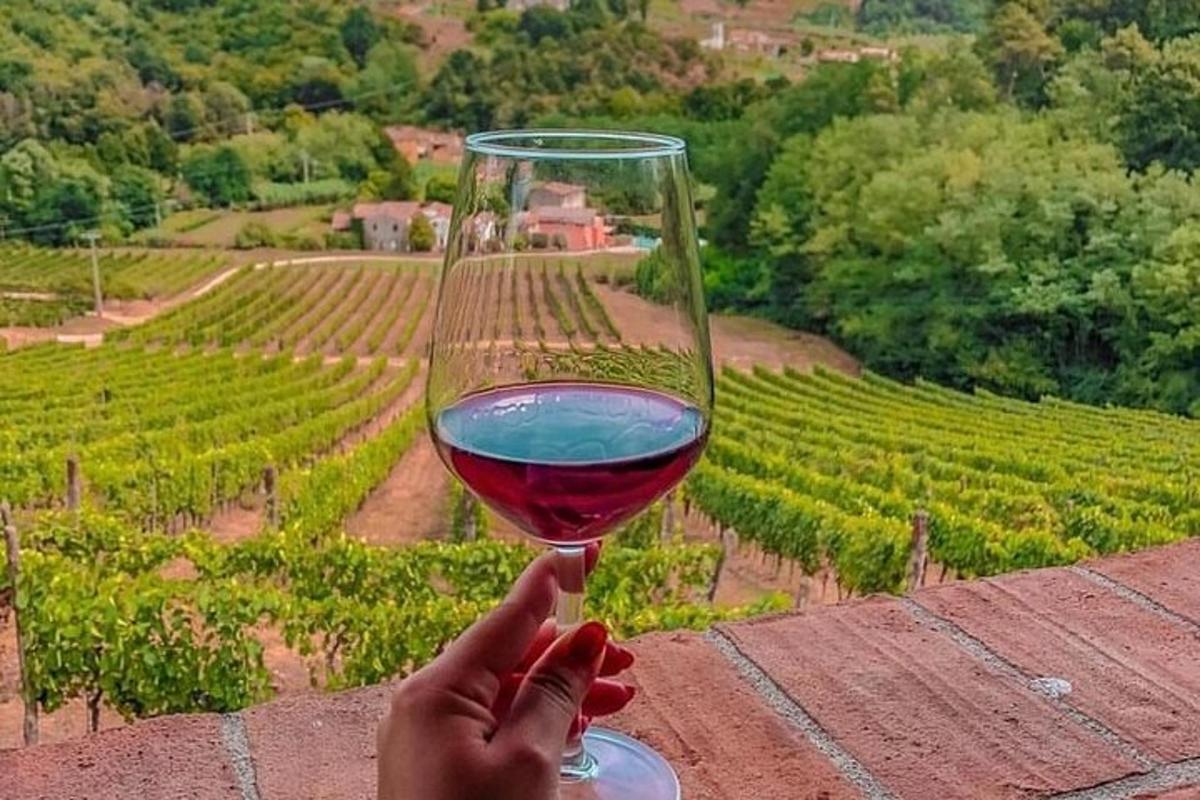 una persona sosteniendo una copa de vino frente a un viñedo