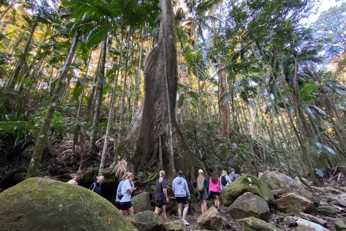 un gruppo di persone in piedi davanti a un albero