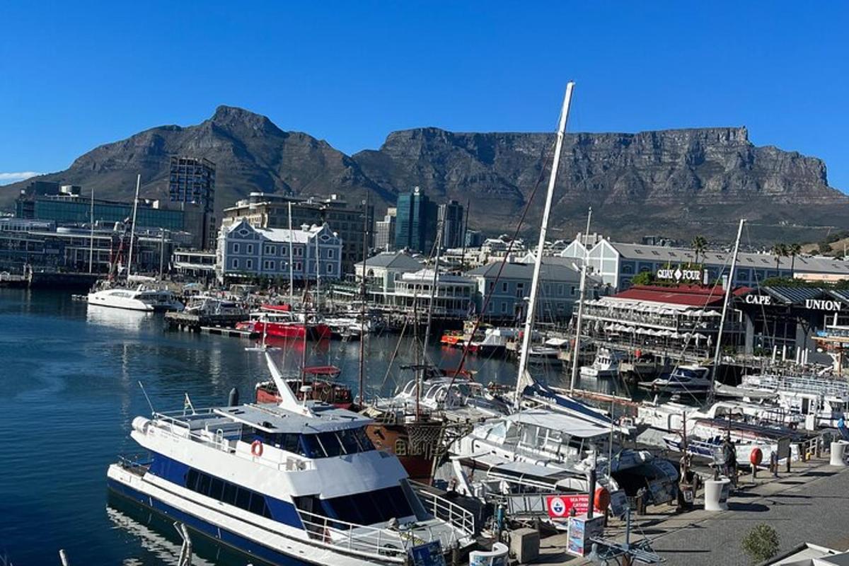 Un grupo de barcos atracados en un puerto deportivo con una montaña