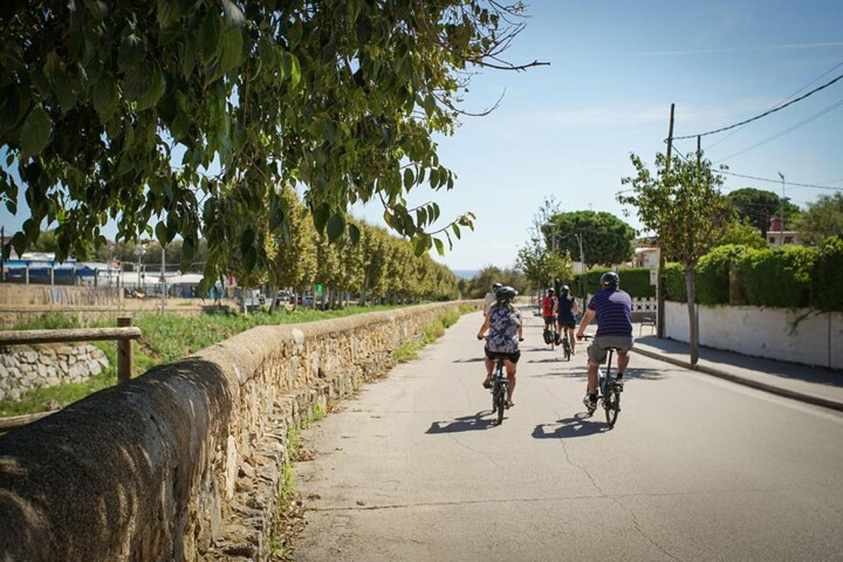 un gruppo di persone che vanno in bicicletta lungo una strada