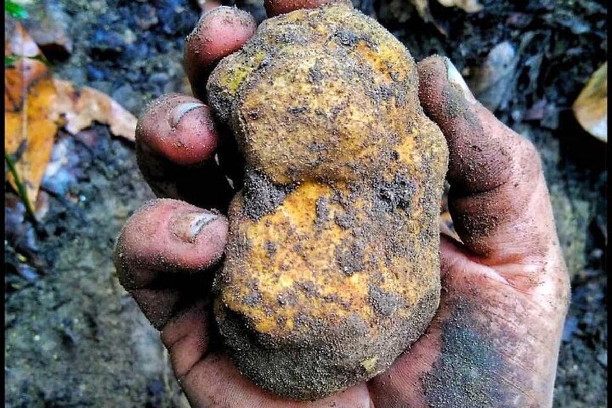 a person holding a rock in their hand
