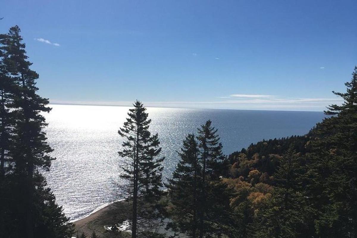 a view of the ocean from a hill with trees