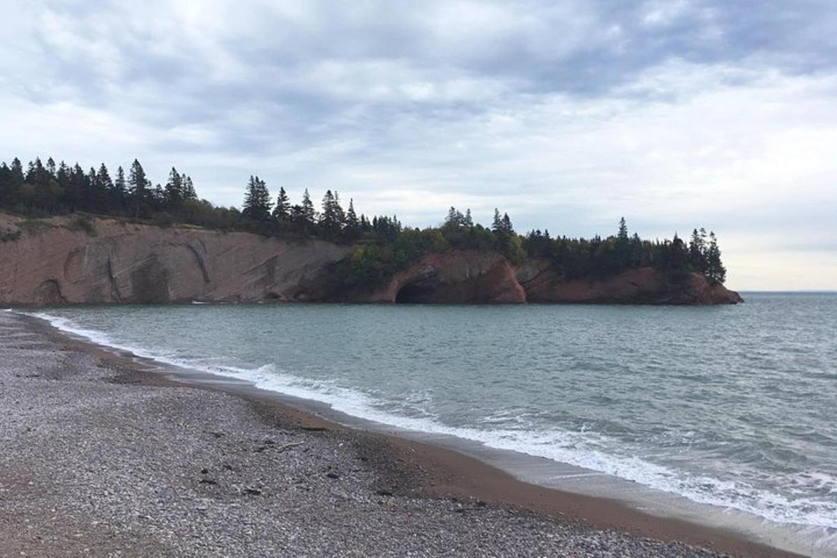 a beach with a rocky shore with trees and water