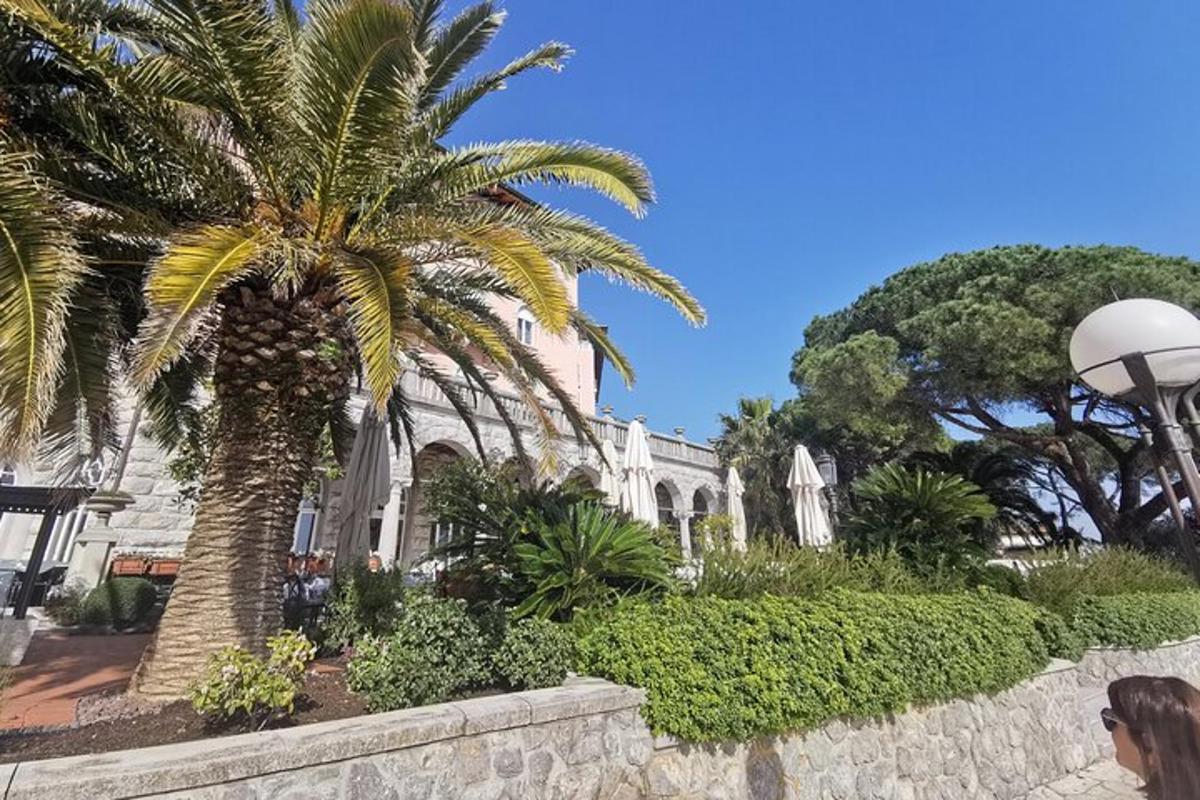 una palmera davant d'un edifici