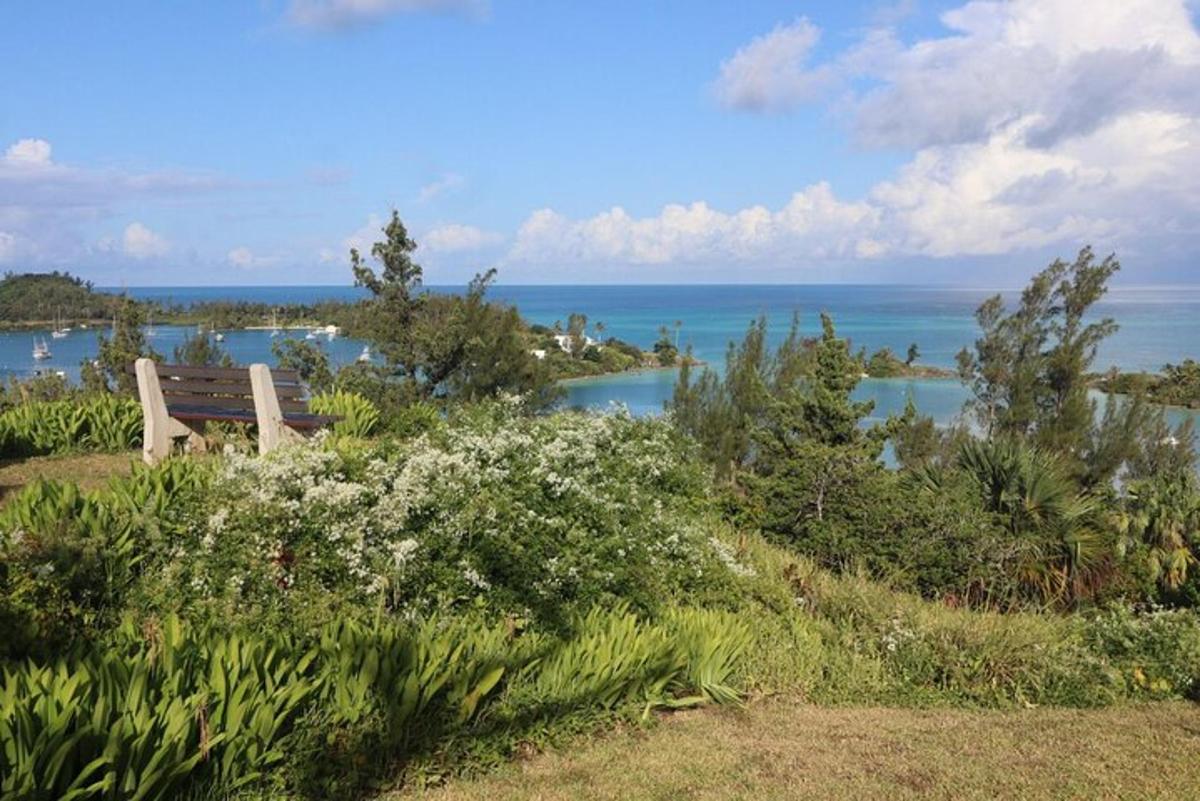 a bench sitting on top of a hill overlooking the water
