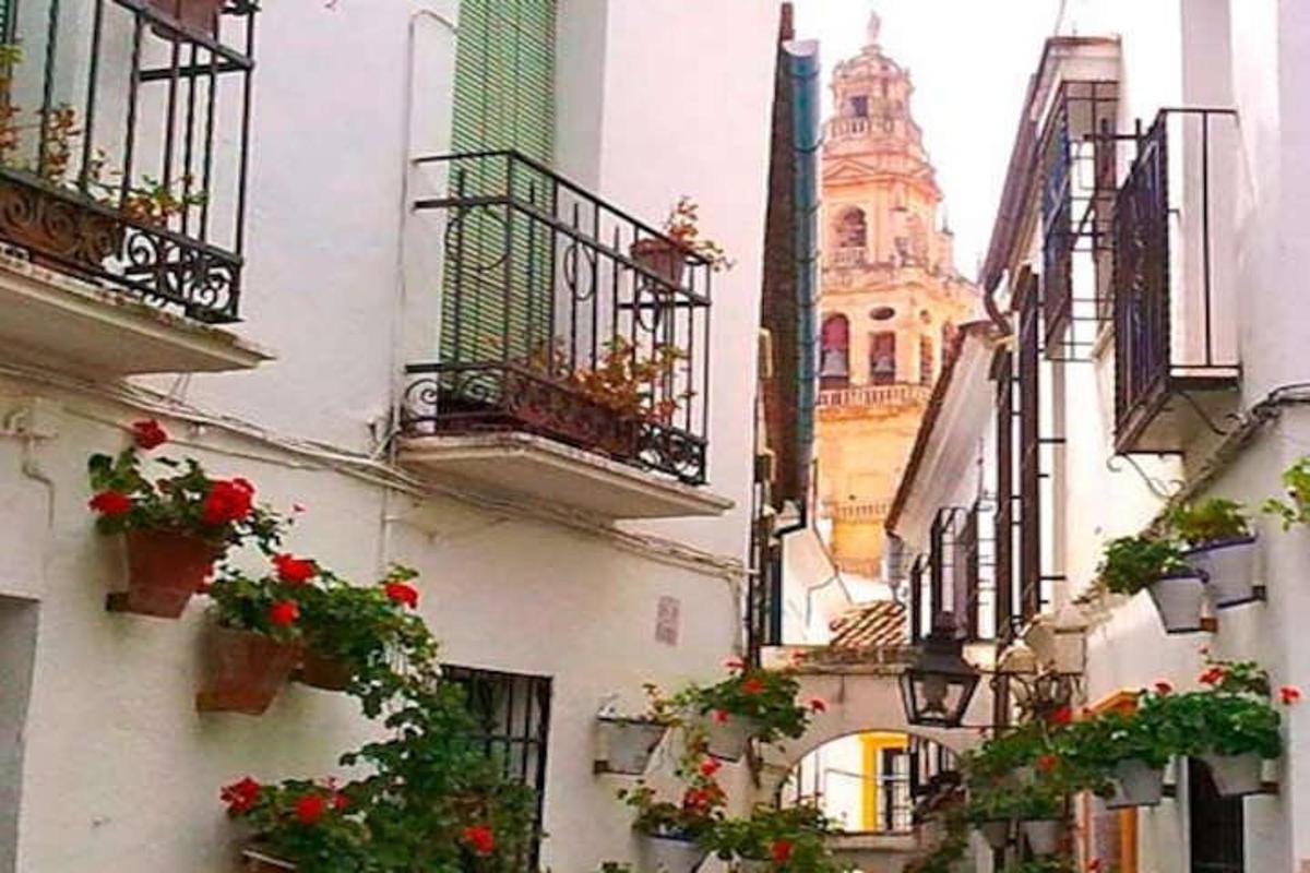 Imagen número 3 de la atracción