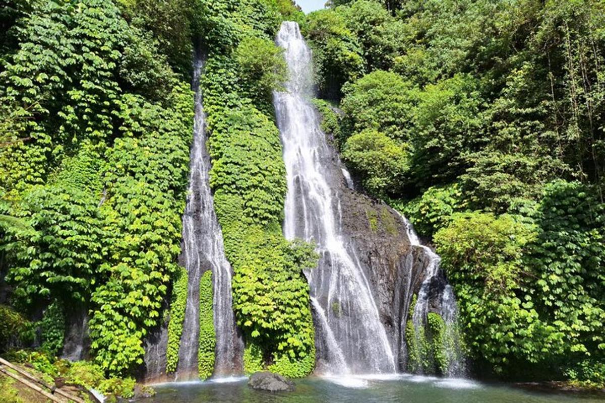 air terjun di atas kolam air di dalam hutan