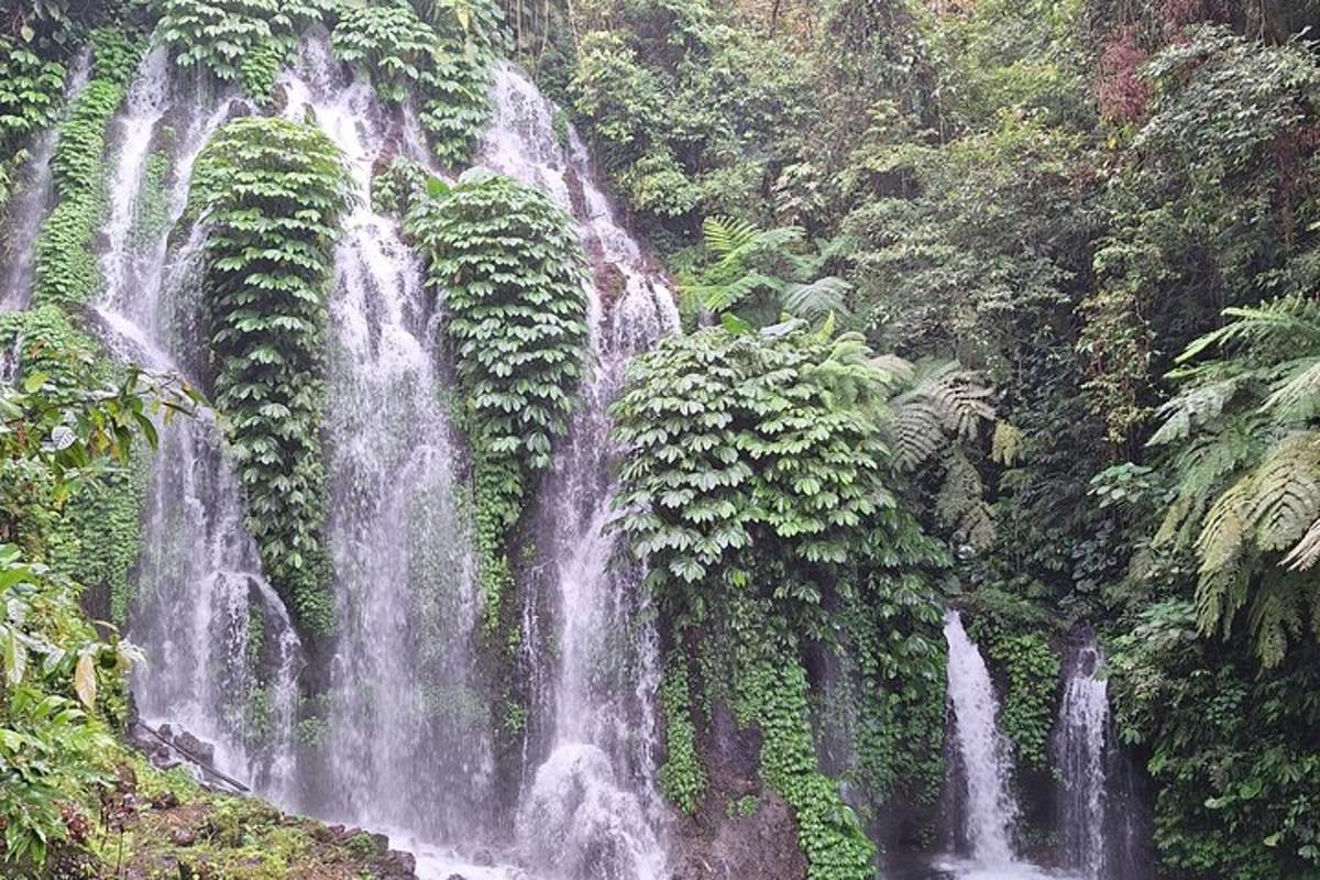 air terjun di tengah-tengah hutan
