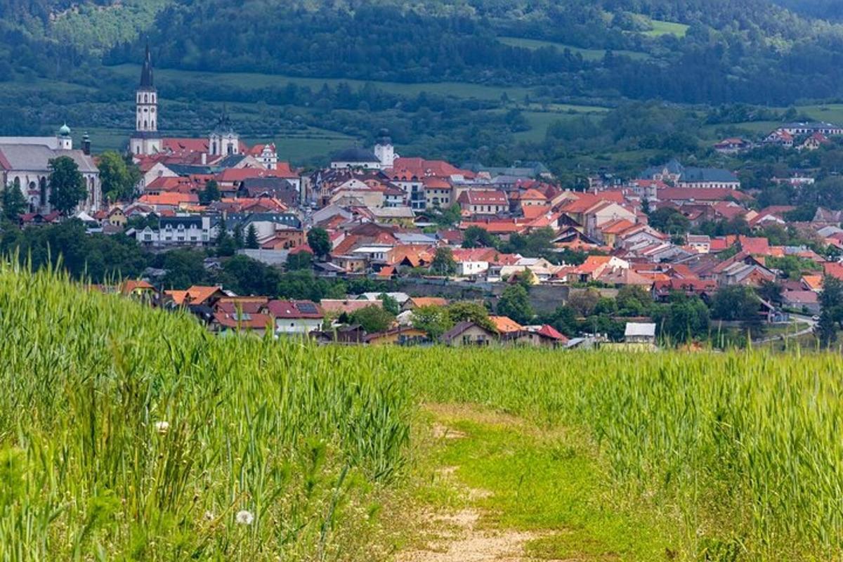 a view of a town from a field of grass