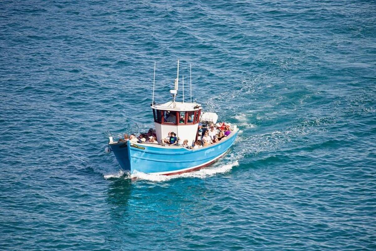 a blue and white boat in the water