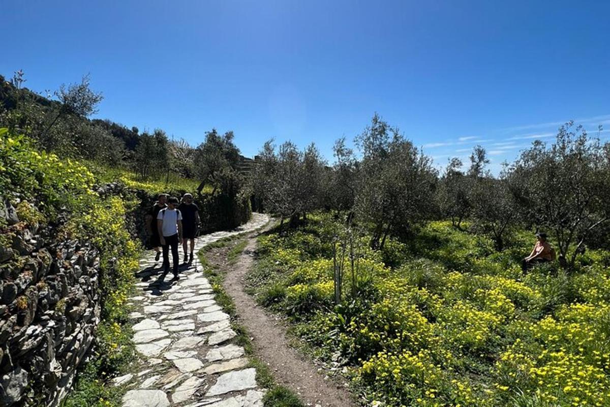 Un grupo de personas caminando por un sendero rocoso