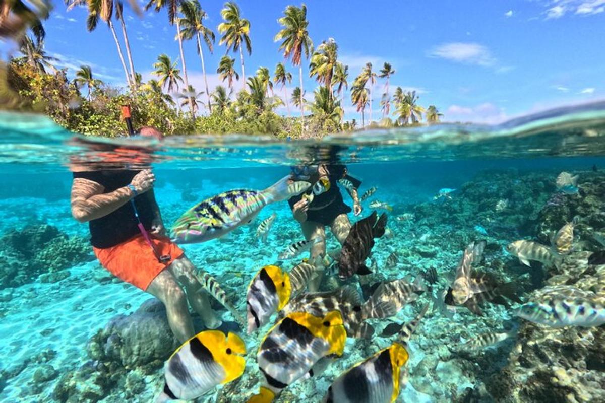 two people taking a picture of a reef with fish