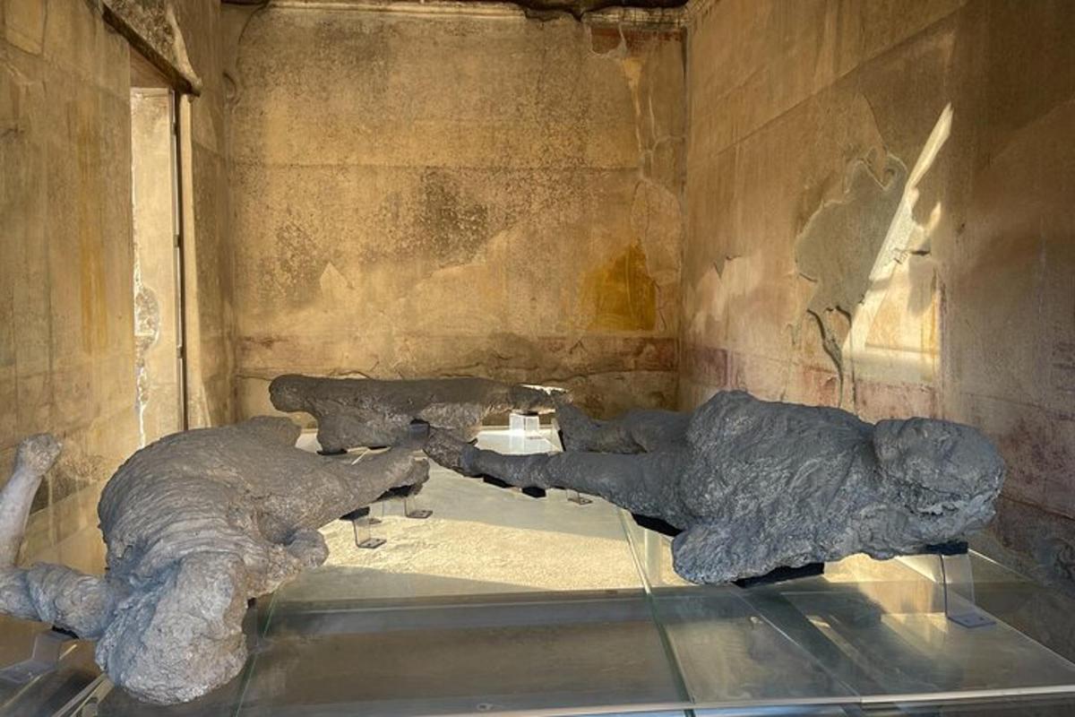 una estàtua de dos elefants exposada en un museu