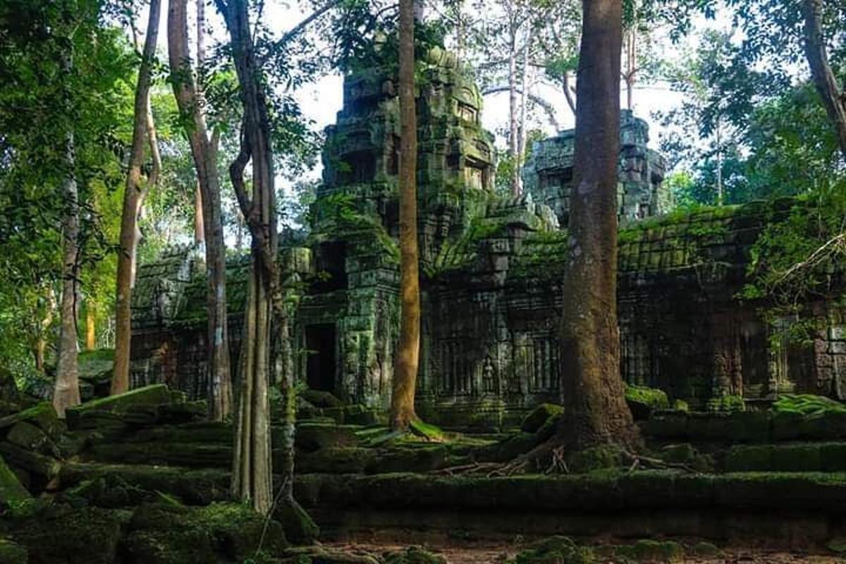 vana kivihoone metsas puudega