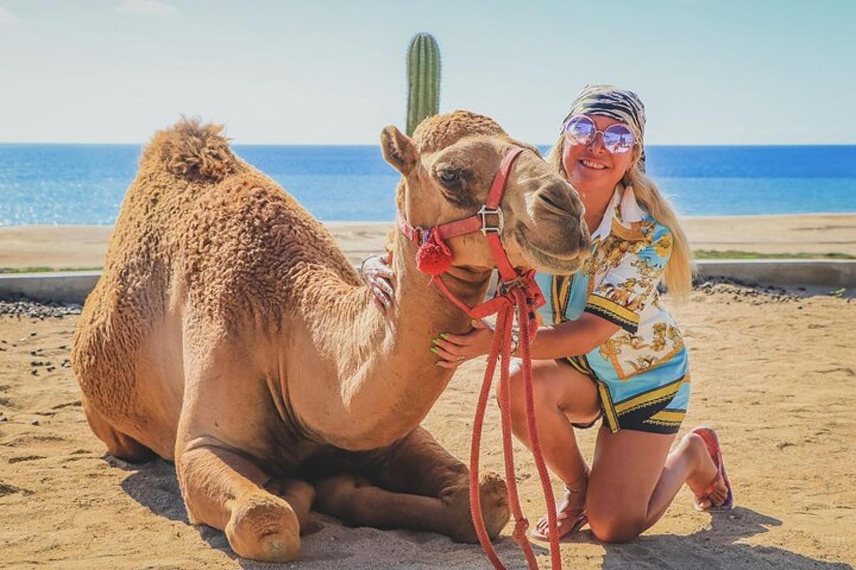 uma mulher segurando um camelo na praia