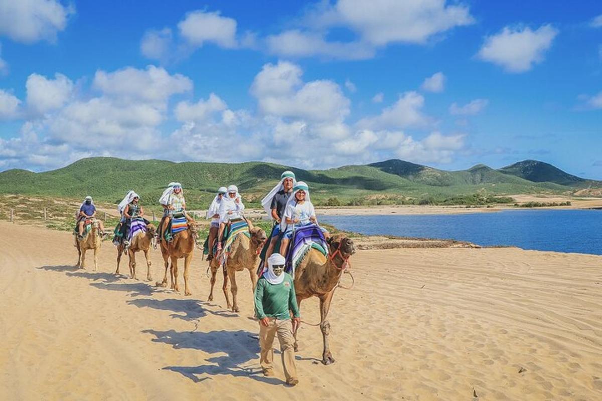 a group of people riding horses on the beach
