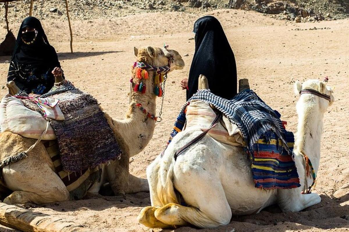due donne a cavallo dei cammelli nel deserto