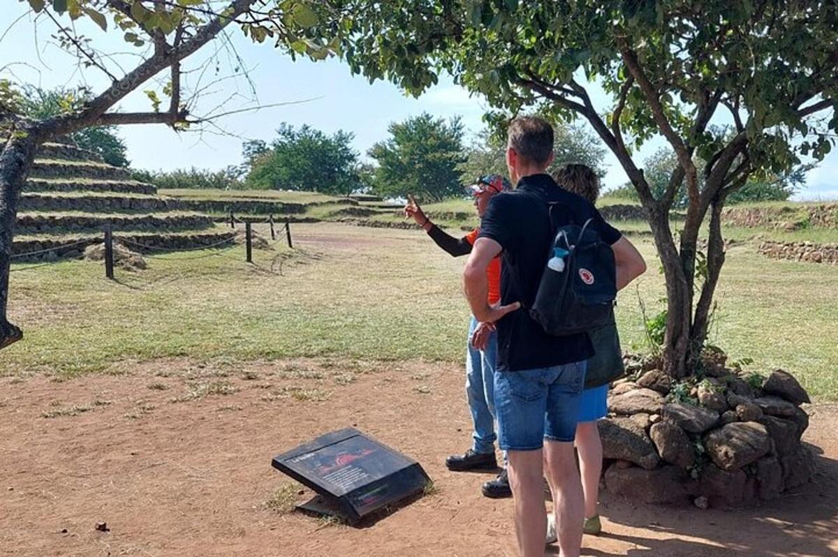 un gruppo di persone in piedi accanto a un albero