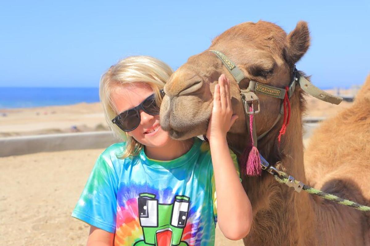 a young girl is standing next to a camel