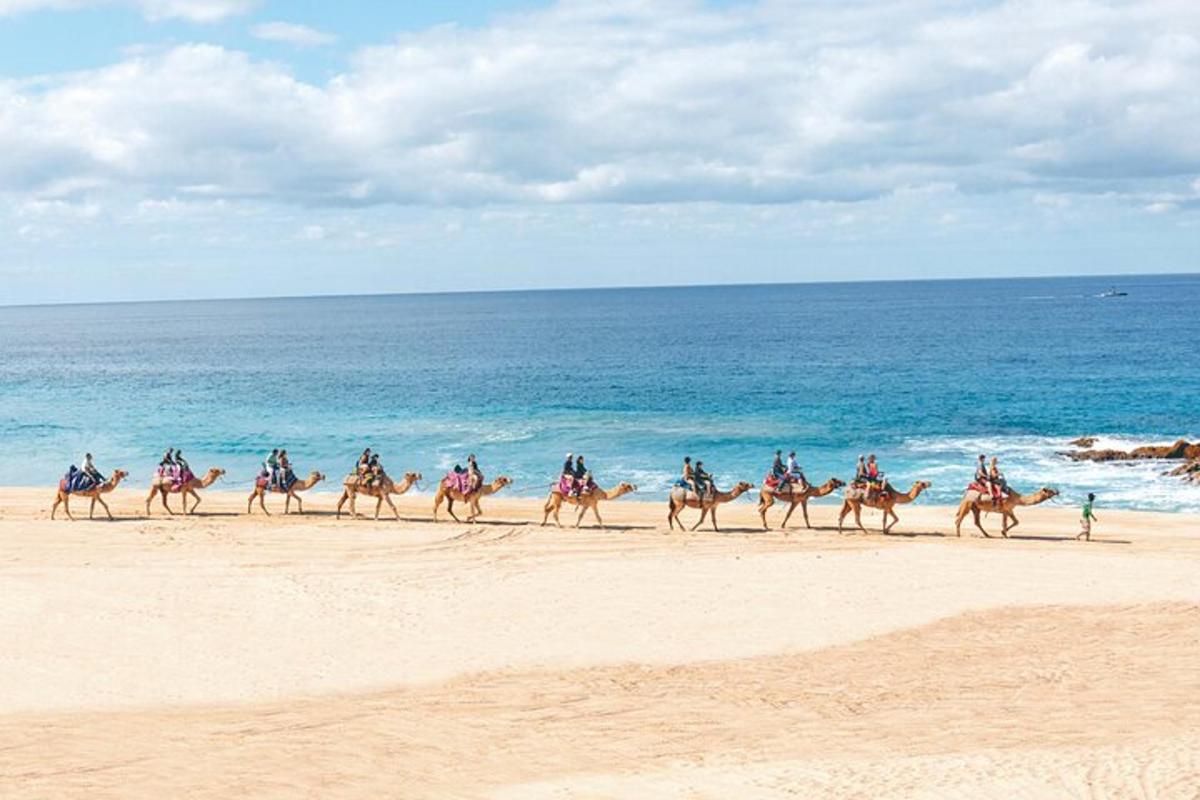 a group of people riding horses on the beach