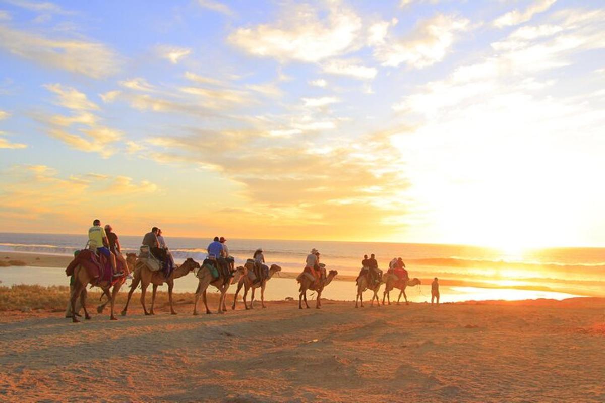 um grupo de pessoas andando a cavalo na praia