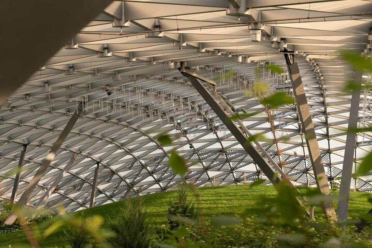 Photo de l’attraction numéro 2.