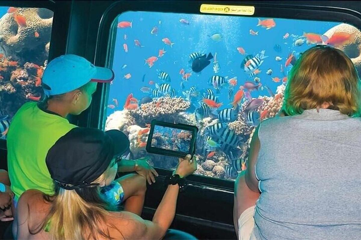 um grupo de pessoas olhando para um aquário