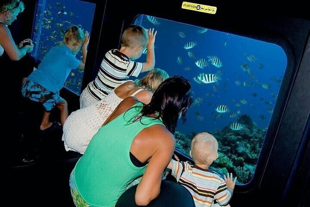 un gruppo di persone che osservano i pesci in un acquario