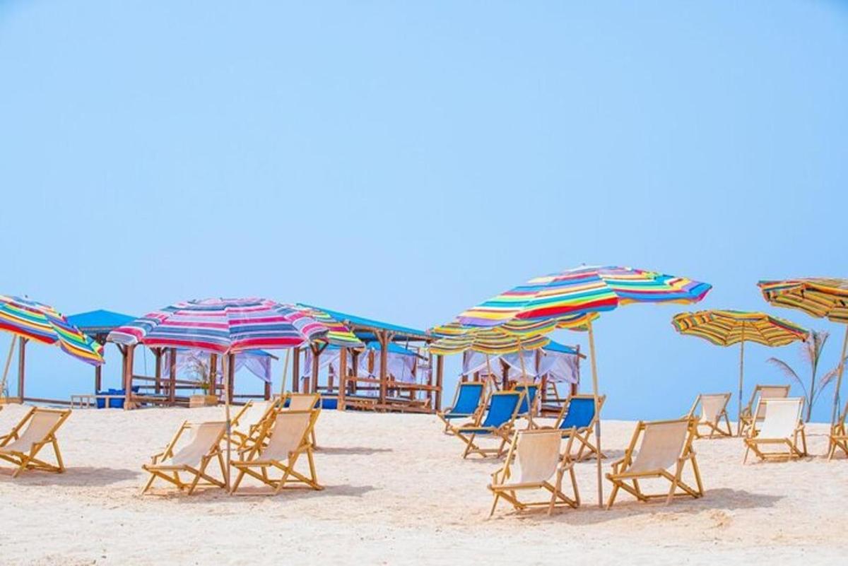 egy csoport szék és napernyő a strandon