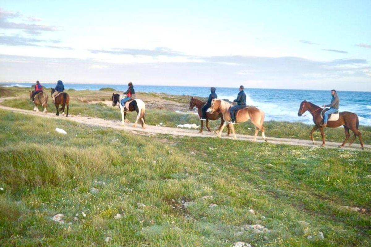 um grupo de pessoas andando a cavalo em uma trilha perto do oceano