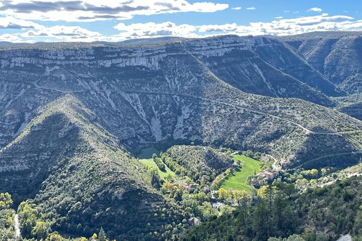 an aerial view of a mountain valley with trees