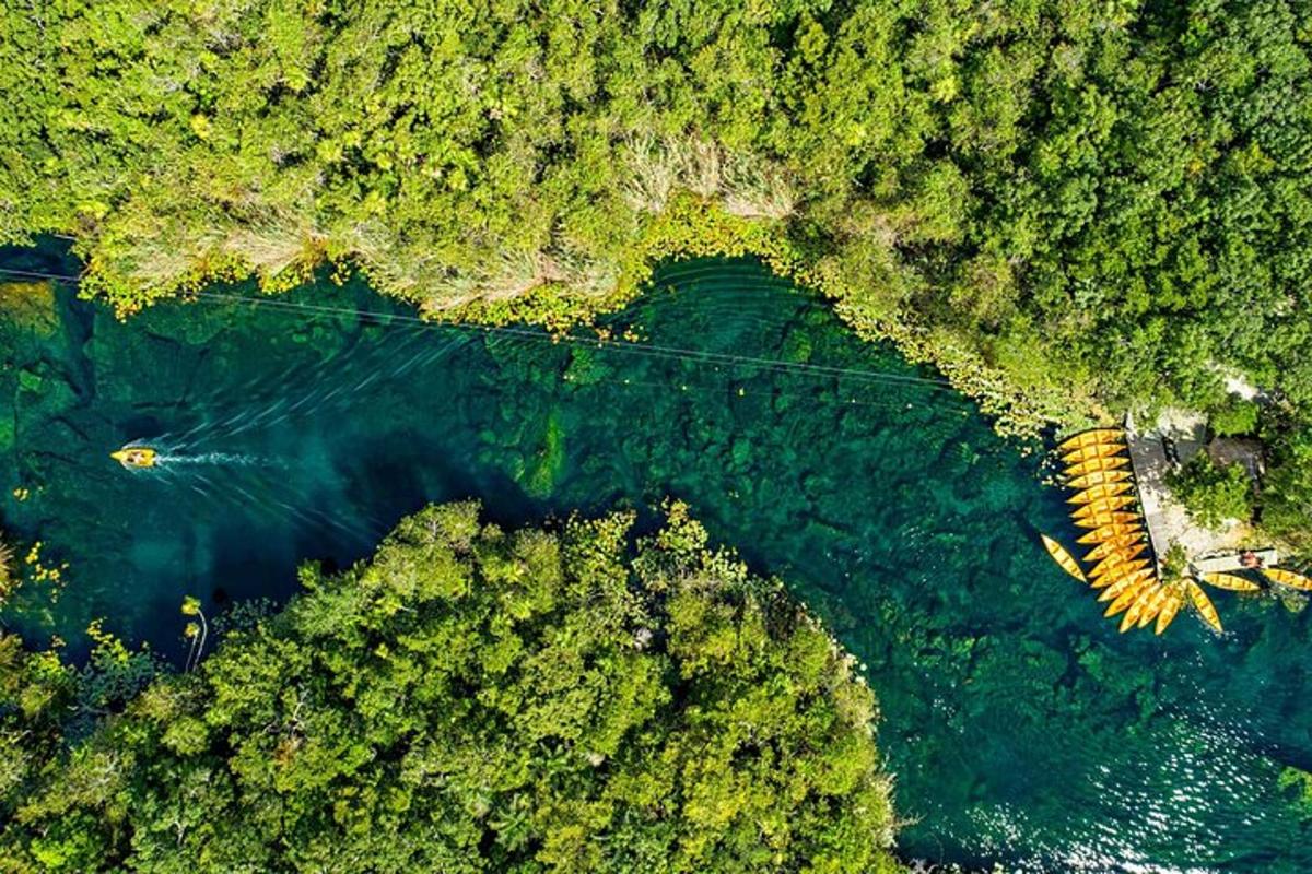 Una vista aérea de un cuerpo de agua con árboles.